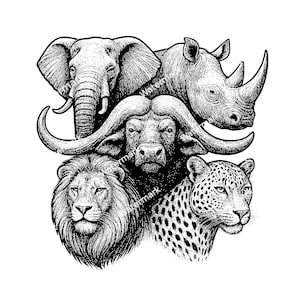 Big Five Afrique PNG, SVG, fichiers DXF. Élaphant, rhinocéros, panthère, buffle, gravure laser lion, fichiers graphiques vectoriels. Clipart. Utilisation commerciale