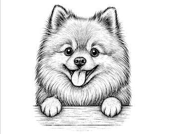 Pomeranian peeking PNG, SVG, DXF files. Pomeranian Cricut file. Vector graphic files. Clip art. Commercial use