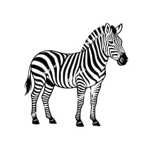 Può includere: Illustrazione in bianco e nero di una zebra in piedi. La zebra presenta un motivo a strisce sul corpo, sulla testa e sulle zampe. Lo sfondo è bianco.