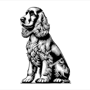 Cocker Spaniel sitting PNG, SVG, DXF files. cocker Spaniel Cricut file. Vector graphic files. Clip art. Commercial use