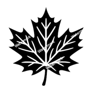Può includere: Grafica in bianco e nero di una foglia d'acero. Le venature della foglia sono bianche, su uno sfondo nero pieno. L'immagine è un design semplice e ad alto contrasto, adatto a varie applicazioni.