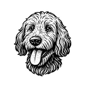 Labradoodle Kopf PNG, SVG, DXF, Clipart, Scherenschnitt, Labradoodle für Tshirt. Labradoodle zum Lasern