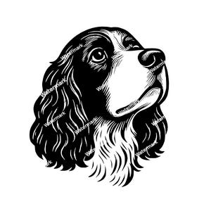 English Springer Spaniel head head PNG, SVG, DXF files. Vector graphic files. Clip art. Commercial use