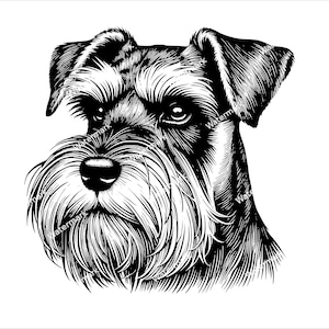 Może przedstawiać: Czarno-biała ilustracja liniowa sznaucera miniaturowego z puszystą brodą i poważnym wyrazem twarzy.