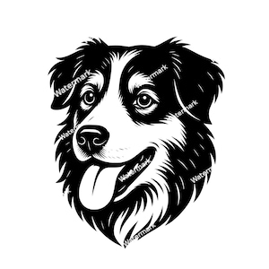 Op de afbeelding: Een zwart-wit illustratie van een hondenhoofd, met een Border Collie. De hond heeft een witte kop met zwarte aftekeningen rond de ogen en oren. Zijn tong is zichtbaar en hij heeft een vriendelijke uitdrukking.
