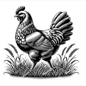 Chicken PNG, SVG, DXF, Chicken cricut files