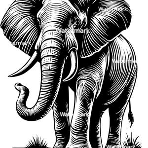 May include: A black and white line art illustration of an elephant standing with its trunk raised. The elephant has a detailed, textured appearance.