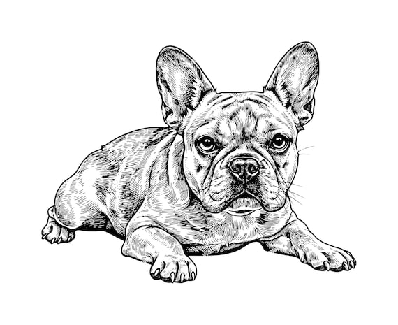 フレンチブルドッグの横たわる姿（PNG、SVG、DXFファイル）。ベクター