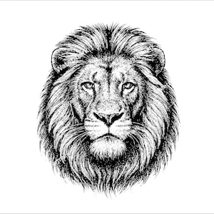 Lion head PNG, SVG, DXF files. Lion files for laser engraving, Vector graphic files. Clip art.  Commercial use