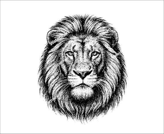 Lion Head PNG, SVG, DXF Files. Lion Files for Laser Engraving