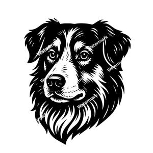 May include: A black and white illustration of a dog's head, featuring detailed linework. The dog has a fluffy, textured coat, with a prominent snout and expressive eyes. The design is a graphic representation of a Border Collie.