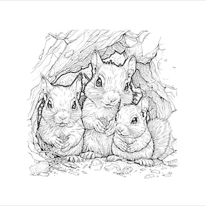 Squirrel family in a hollow, clipart, Squirrels silhouette PNG, SVG, DXF files