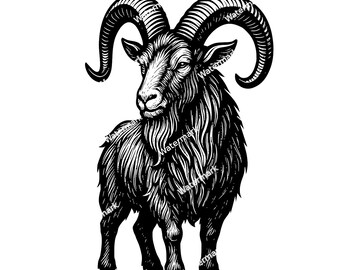 Op de afbeelding: Een gedetailleerde zwart-wit illustratie van een ram. De ram wordt afgebeeld in een staande pose, met grote, gebogen hoorns en een ruige vacht. Het kunstwerk heeft een vintage, gegraveerde stijl, geschikt voor diverse design toepassingen.