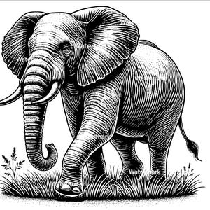 May include: A black and white line drawing of an elephant walking through tall grass. The elephant has a long trunk and large ears.