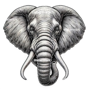 May include: A detailed black and white illustration of an elephant's head. The elephant has large ears, a long trunk, and tusks. The illustration is drawn in a realistic style.