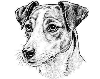 Jack Russel head PNG, SVG, DXF files. Jack Russel head Cricut file. Vector graphic files. Clip art. Commercial use