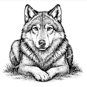 Può includere: Illustrazione in bianco e nero di un lupo in linea art, con la testa leggermente girata di lato. Il lupo è sdraiato con le zampe incrociate davanti a sé. La pelliccia del lupo è dettagliata con linee e ombreggiature.