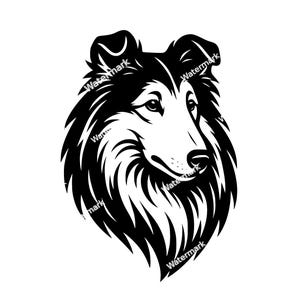 Cabeza de collie de pelo largo (archivos PNG, SVG y DXF). Archivo Cricut de collie de pelo largo. Gráficos vectoriales. Imágenes prediseñadas. Uso comercial.