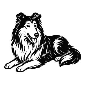 Può includere: Illustrazione in bianco e nero di un cane Collie in una posa rilassata, sdraiato. Il cane ha un mantello soffice, occhi attenti e la bocca leggermente aperta. L'opera d'arte è dettagliata, con un focus sui tratti e sulla consistenza del pelo del cane.