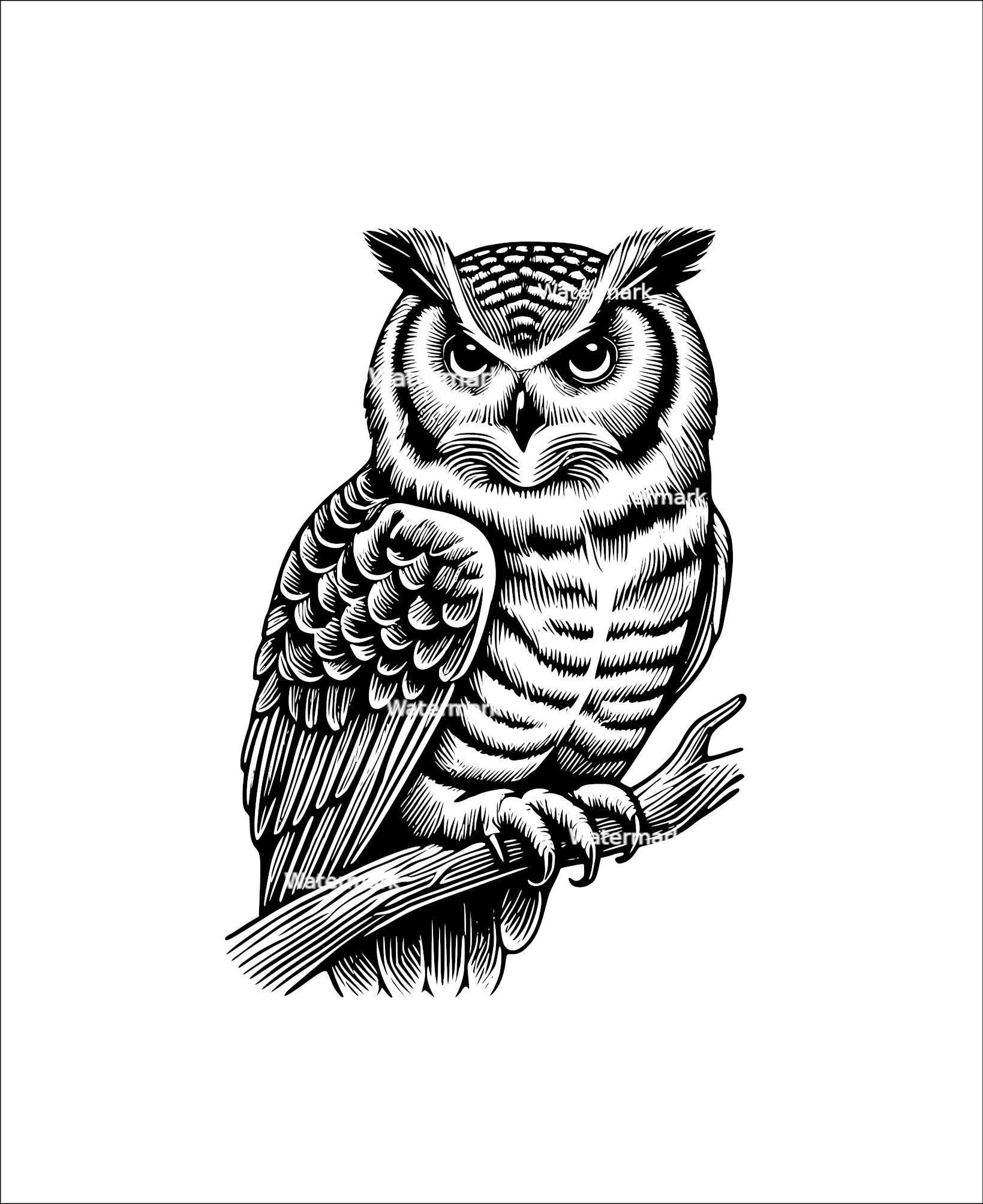 Owl on branch PNG, SVG, DXF, Owl clipart, Owl silhouette