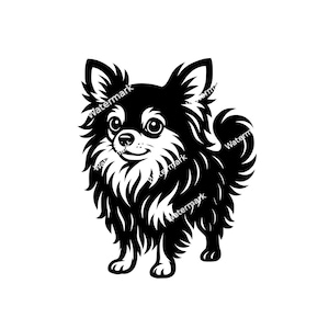 Chihuahua long haired PNG, SVG, DXF,  clipart,  silhouette