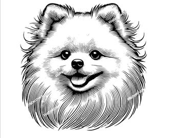 Pomeranian head PNG, SVG, DXF files. Pomeranian Cricut file. Vector graphic files. Clip art. Commercial use