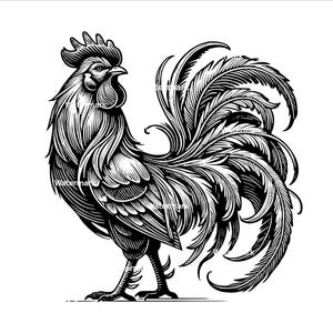 Könnte beinhalten: Eine Schwarzweißillustration eines Hahns mit einem detaillierten, verzierten Design. Der Hahn hat einen großen, kunstvollen Kamm und einen Kehllappen, und seine Schwanzfedern sind fächerförmig ausgebreitet.