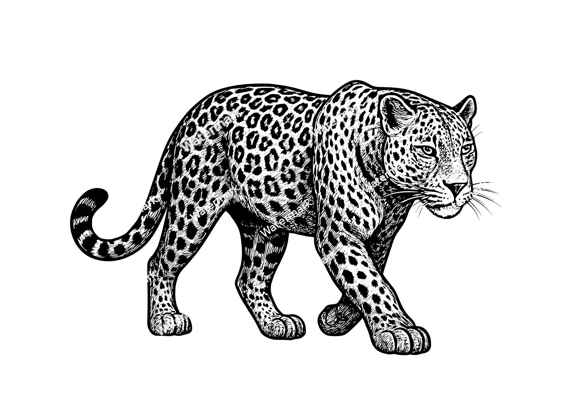 Leopard File Leopard Png,pdf,svg,dxf Files. Leopard Files for Laser Engraving ...