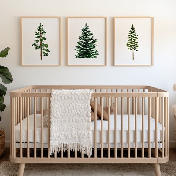 Framed Baby Boy Nursery Wall Decor - Woodland Nursery Art Prints - Tree Nursery Theme - Woodland Trees Nursery - Pine Tree Art