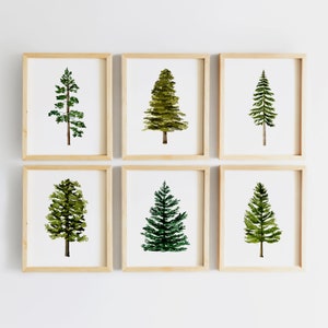 Baby Boy Nursery Wall Decor - Woodland Nursery Art Prints - Tree Nursery Theme - Woodland Trees Nursery - Pine Tree Art