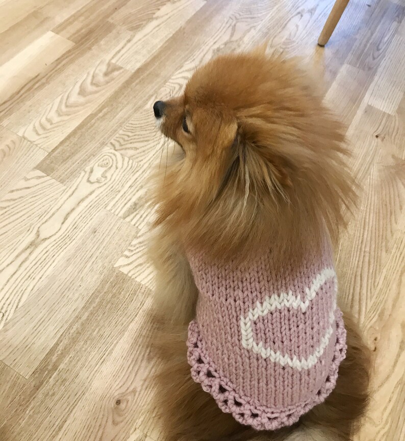 Custom dog crochet sweater Pomeranian costume Chihuahua Etsy
