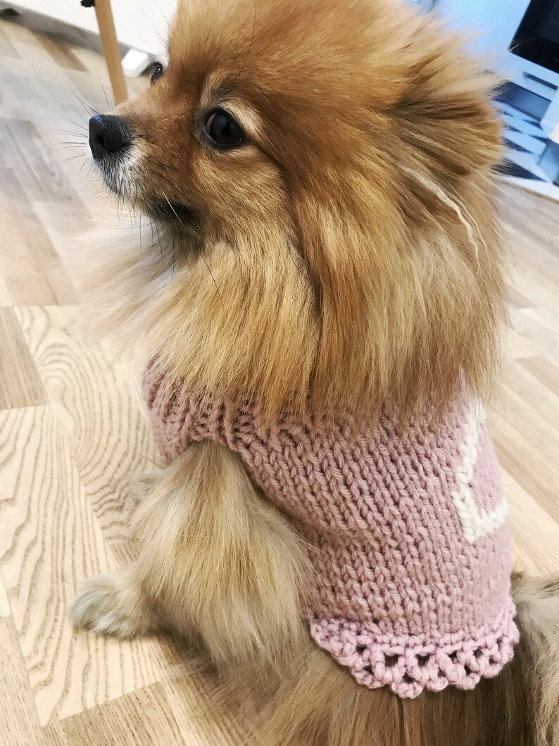 Custom dog crochet sweater Pomeranian costume Chihuahua Etsy