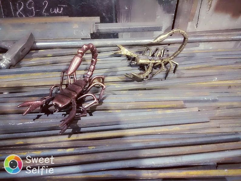 Metal scorpion, forged scorpion, scorpion figurine, arachnid sculpture, metal sculpture, metal statue, art object, metal insect, spider image 9