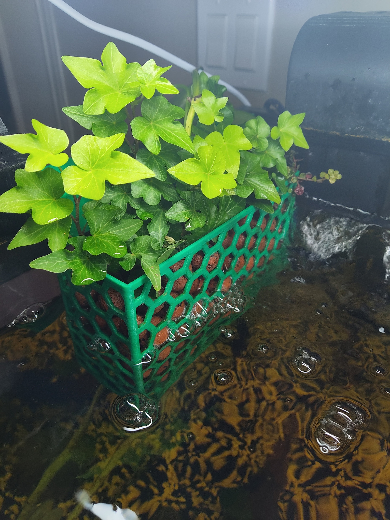 3D Printed Octagon Aquarium Planter Aquaponics Fish Tank Decor Photo Inspiration