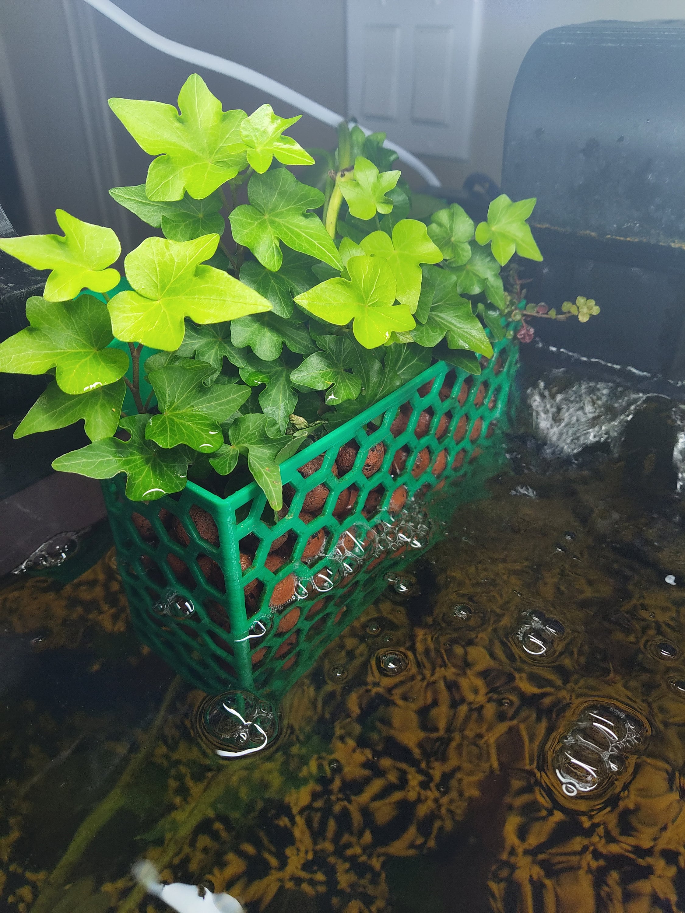 Aquaponics fish tank for sale 2025
