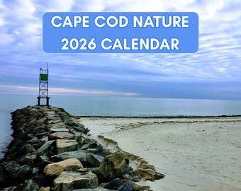 Cape Cod 2026 Calendar, Cape Cod Nature Wall Calendar 2026, Coastal Massachusetts Photography Calendar, Wooded Scenic Calendar