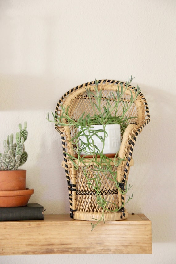 Plant peacock 2025 chair