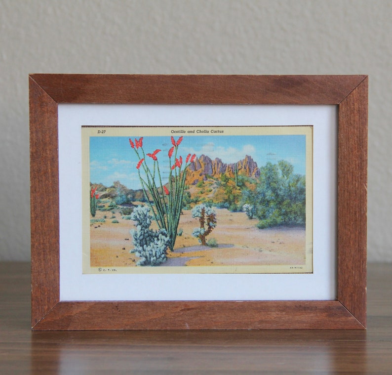 Framed Cactus Print Desert Curt Teich Postcards Image 0 1