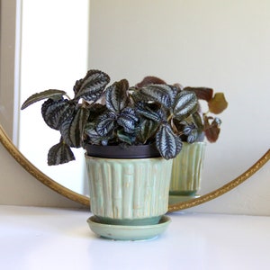 McCoy Pottery bamboo planter, Ceramic planter with saucer, Small planter with drainage, Succulent planter, Herb planter, Plant gifts