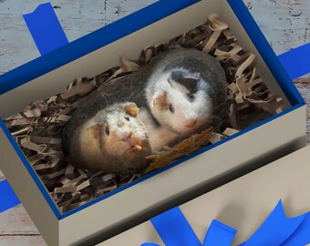 hamster gifts hamster lovers