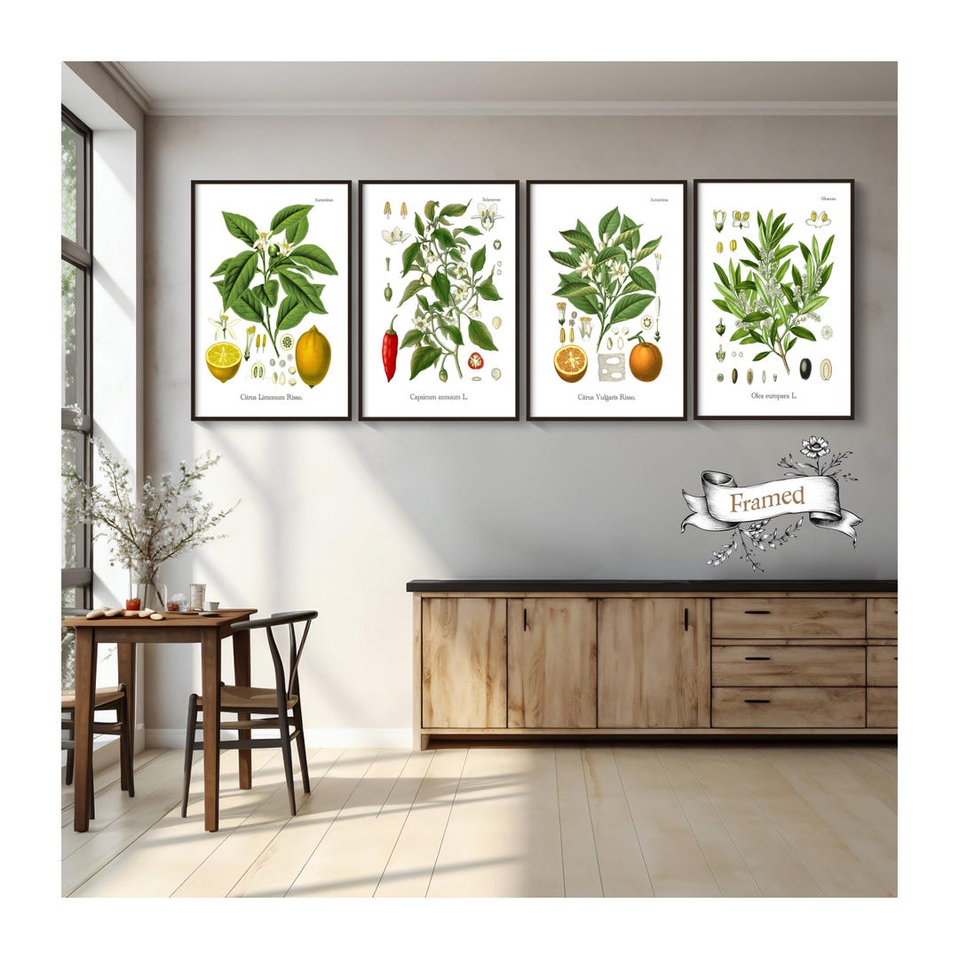 kitchen wall decor art prints - botanical prints -... Framed Botanical Prints - Kitchen Wall Art -fruit Prints - Set of Four ...