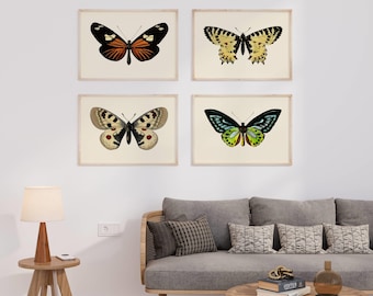 Vintage Butterfly Prints - Set of 4 Restored Botanical Illustrations.