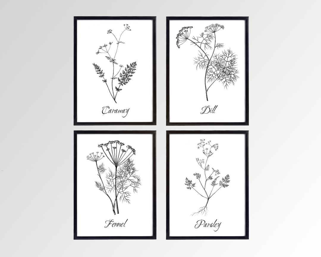Vintage Herb Prints Set - Minimalist Kitchen Wall Art - Etsy