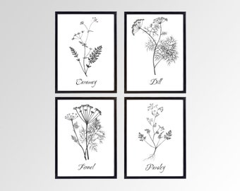 VINTAGE HERB PRINTS.  Prints for Kitchen. Set of Four.  Minimalist Herb Art. Four Print Sizes. Fine Art or Canvas Texture Papers.