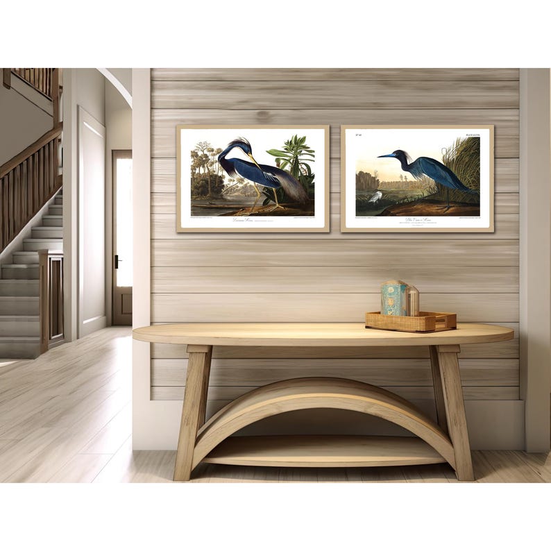 Restored Coastal Bird Print Set - Louisiana Heron & Blue Heron - Etsy
