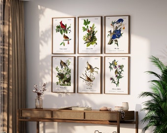 Beautifully Restored Vintage Audubon Bird Prints - Unique Wall Decor for Nature Lovers.  BIRDS OF OHIO.  Set of 6 Bird Wall Art Prints.