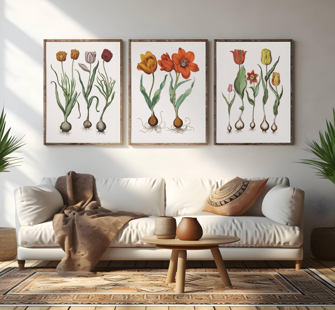Restored Vintage Tulip Prints - Set of Three - Botanical Wall Art - Etsy