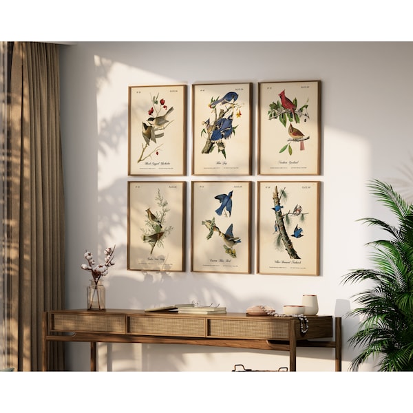 Audubon Bird Prints - Northeast Backyard Birds Vintage Wall Art, Set of 6