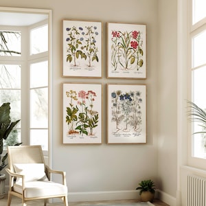 Op de afbeelding: Vier ingelijste botanische prenten met gedetailleerde illustraties van verschillende planten, waaronder bloemen en wortels. De prenten hebben een beige achtergrond en worden tentoongesteld op een lichtgrijze muur. De frames zijn lichtbruin van kleur. De kamer heeft een neutraal kleurenpalet.