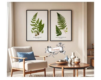 Framed Botanical Prints - Ferns - Vintage Restored Giclée - Set of Two